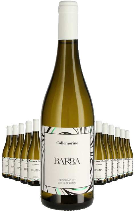 Paket 12 Flaschen Fratelli Barba Collemorino Pecorino