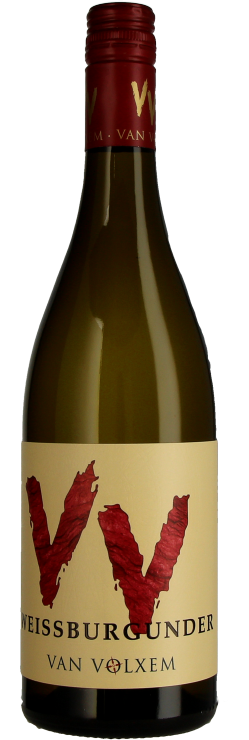 VV Weissburgunder