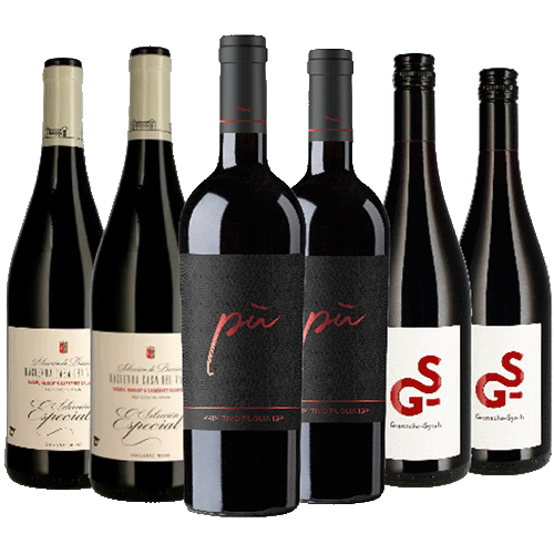 Paket 3 x 2 Flaschen "Europapaket"