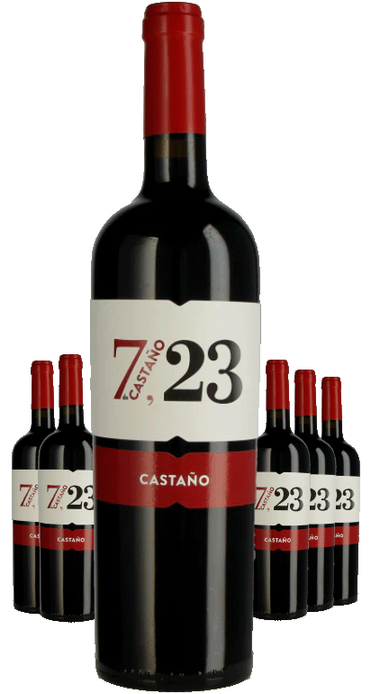 Paket 6 Flaschen 7 de Castano