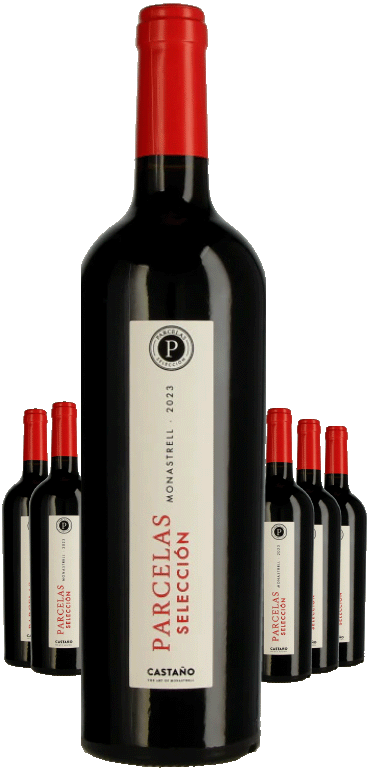 Paket 6 Flaschen Castano Parcelas - BIO