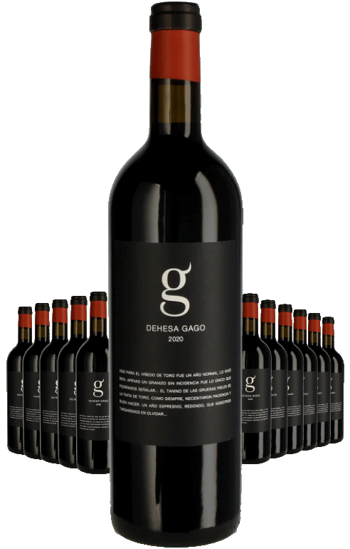 Paket 12 Flaschen G Dehesa Gago
