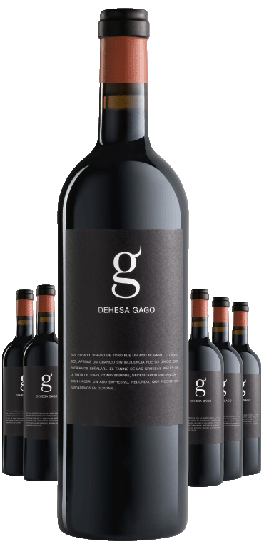 Paket 6 Flaschen G Dehesa Gago