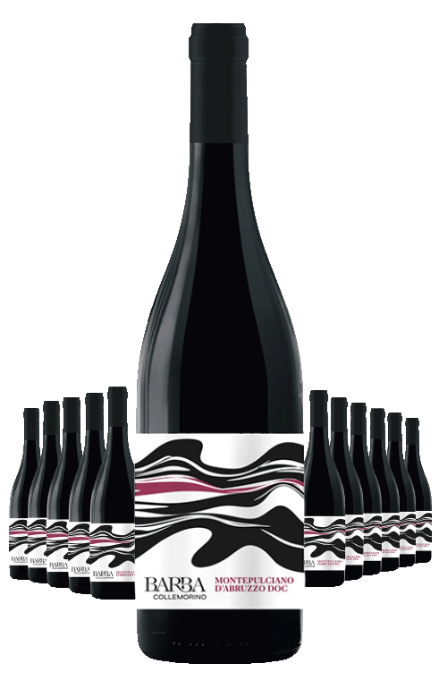Paket 12 Flaschen Collemorino Montepulciano