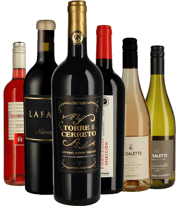 Mixed-Paket 6x1 aus Weinkarte 10-26