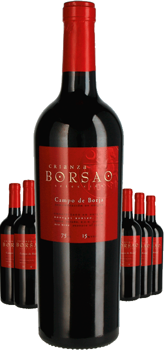 Paket 6 Flaschen Bodegas Borsao Crianza Selección