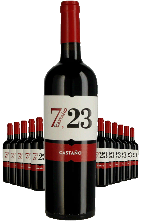 Paket 12 Flaschen 7 de Castano