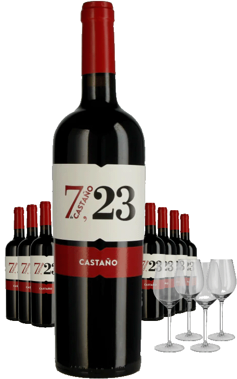 Paket 8 Flaschen 7 de Castano + 4 Gläser