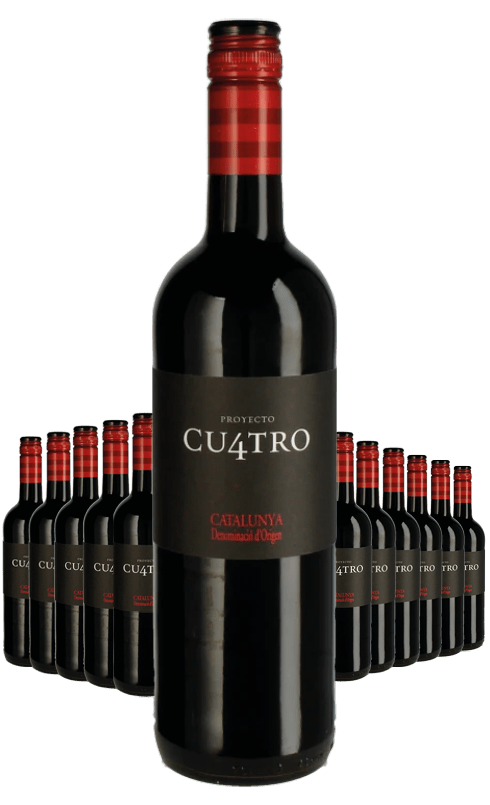 Paket 12 Flaschen Cu4tro Tinto