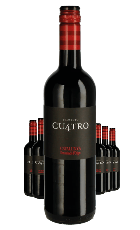 Paket 6 Flaschen Cu4tro Tinto