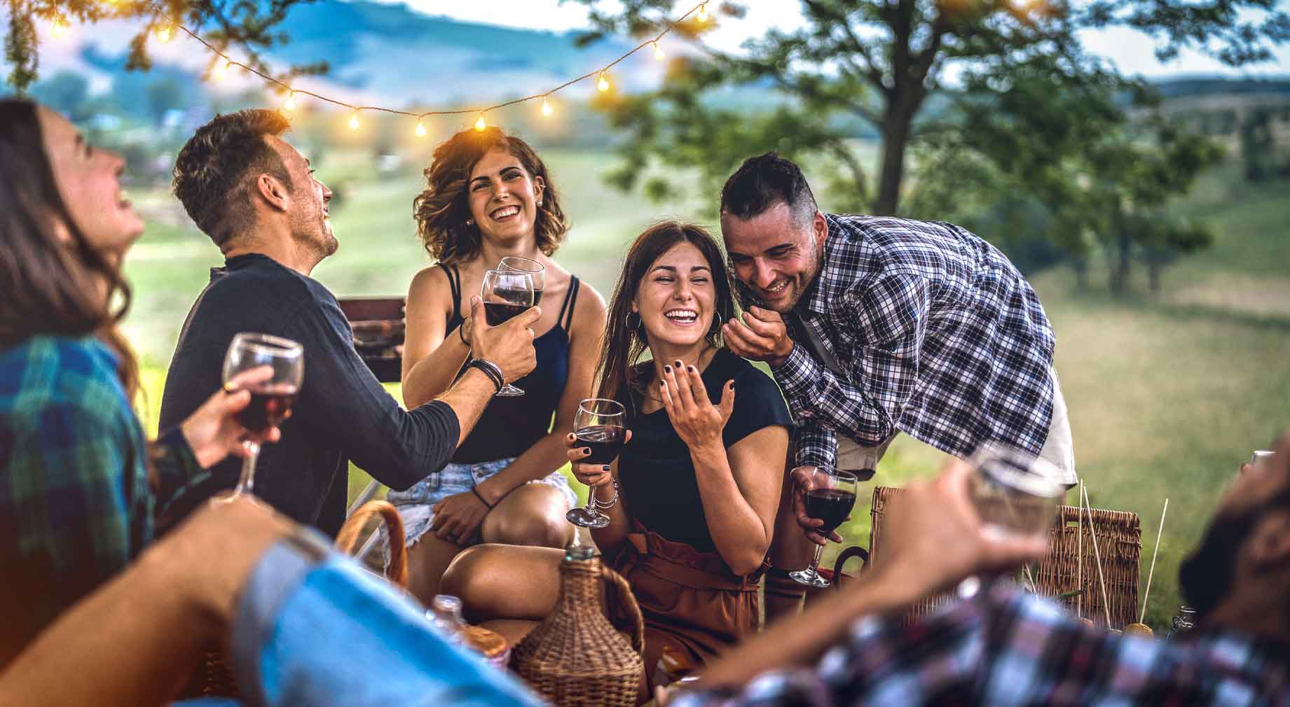 picknick und wein
