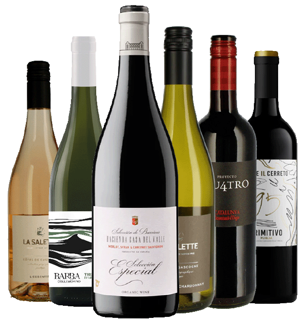 Mixed-Paket 6 x 1 Flasche aus Weinkarte 06 - 2026