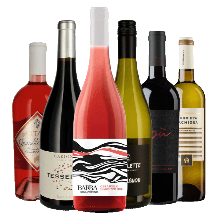 Mixed-Paket 6 x 1 Flasche aus Weinkarte 07 - 2026