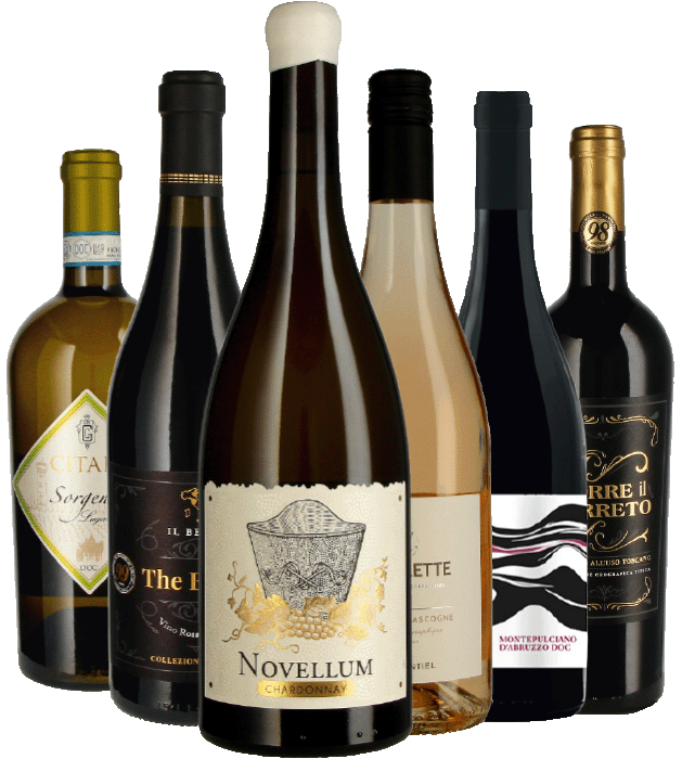 Mixed-Paket 6 x 1 Flasche aus Weinkarte 08 - 2026