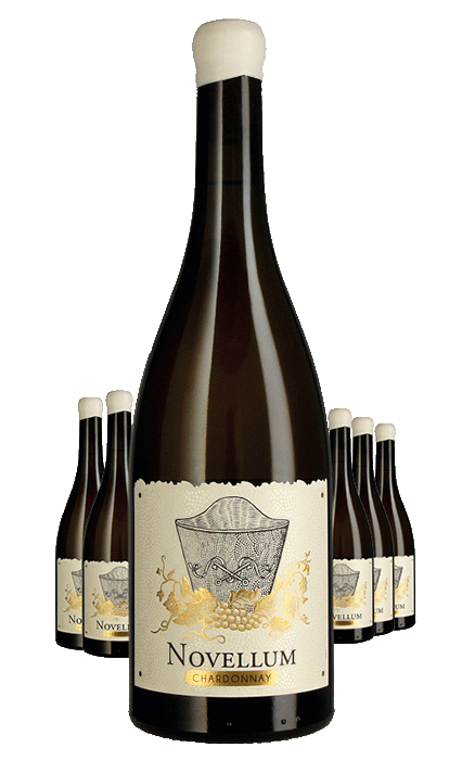 Paket 6 Flaschen Domaine Lafage Novellum Chardonnay