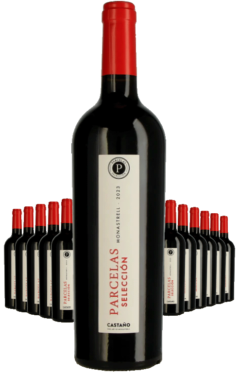 Paket 12 Flaschen Castano Parcelas - BIO