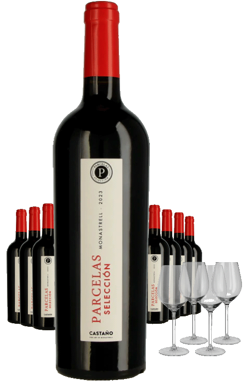 Paket 8 Flaschen Castano Parcelas + 4 Gläser - BIO
