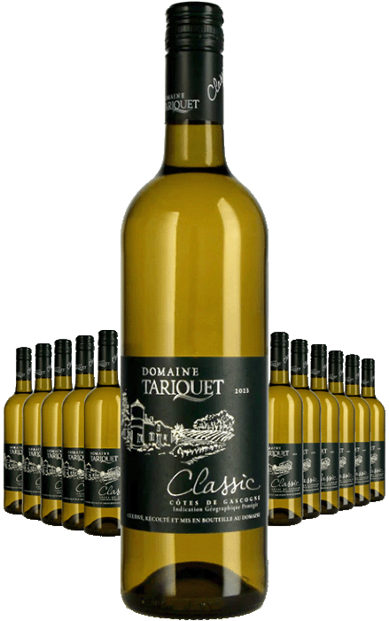 Paket 12 Flaschen Domaine Tariquet Classic