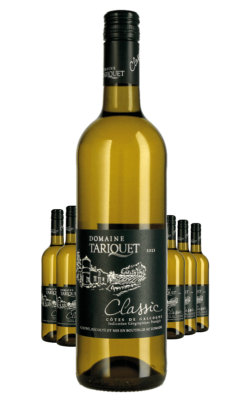 Paket 6 Flaschen Domaine Tariquet Classic